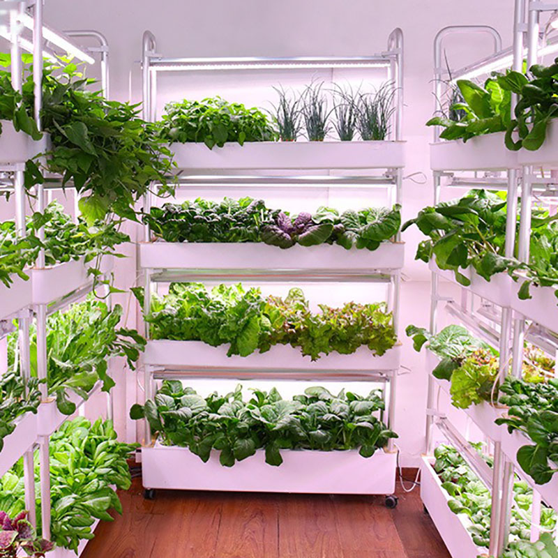 Smart Garden Vertical Planter - Thủy Canh Phát Triển Hệ Thống