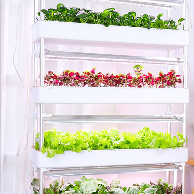 Thủy Canh Phát Triển Hệ Thống  - đánh giá và giá Smart Garden Vertical Planter