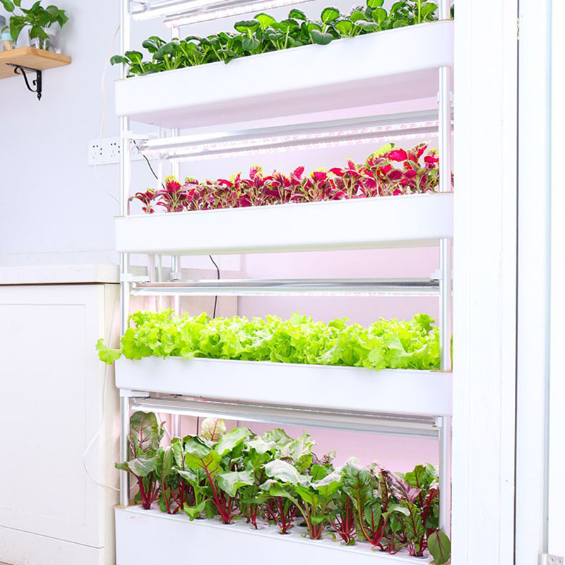 Thủy Canh Phát Triển Hệ Thống  - đánh giá và giá Smart Garden Vertical Planter