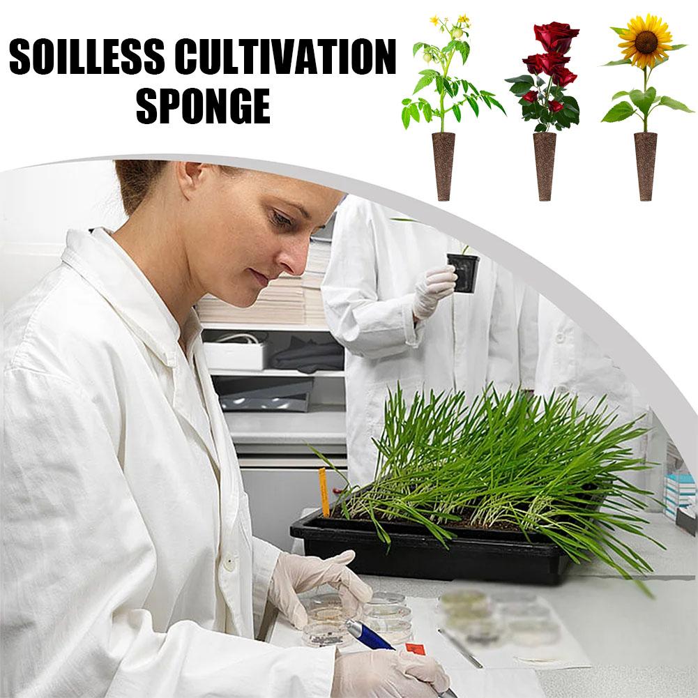 50Pcs Seed Grow Sponges Replac - đánh giá và giá Aerogarden Seed Pod