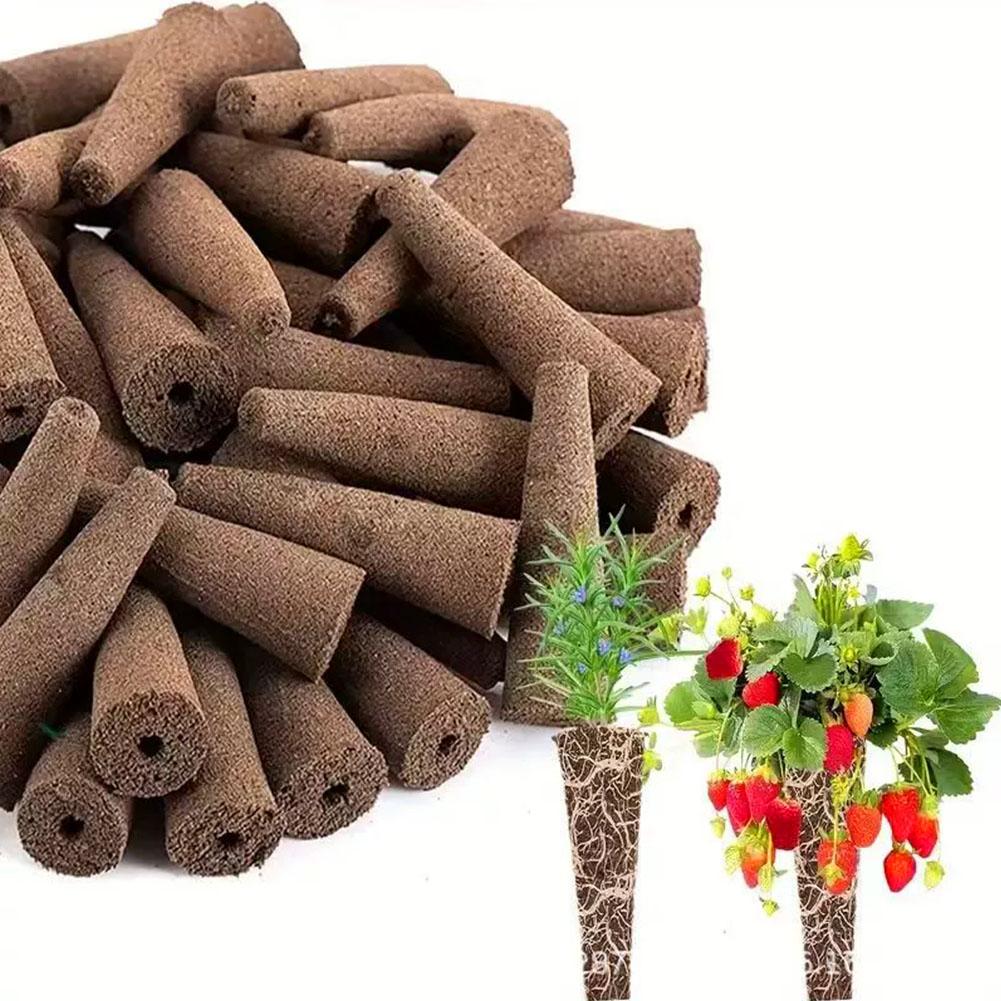 50Pcs Seed Grow Sponges Replac - đánh giá và giá Aerogarden Seed Pod