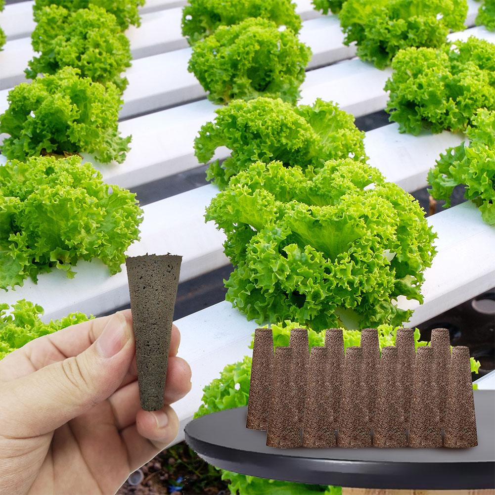 50Pcs Seed Grow Sponges Replac - đánh giá và giá Aerogarden Seed Pod