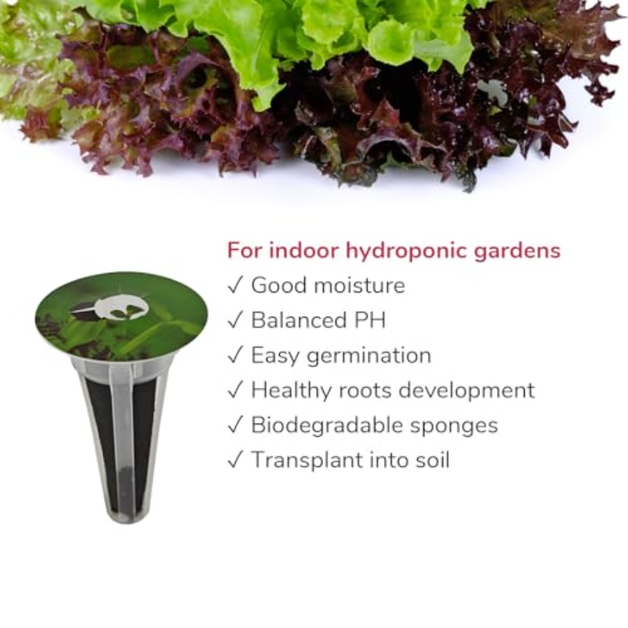 20-pod Seed Kit Lettuce Salad  - đánh giá và giá Aerogarden Seed Pod