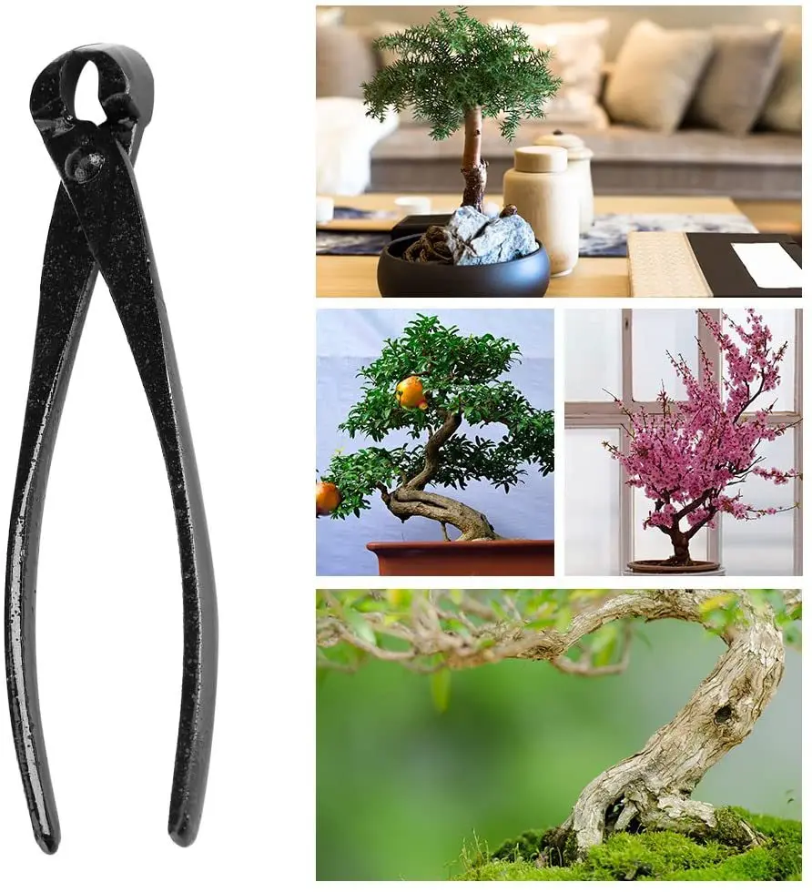 1pcs Professional Bonsai Knob  - đánh giá và giá Smart Garden Edging