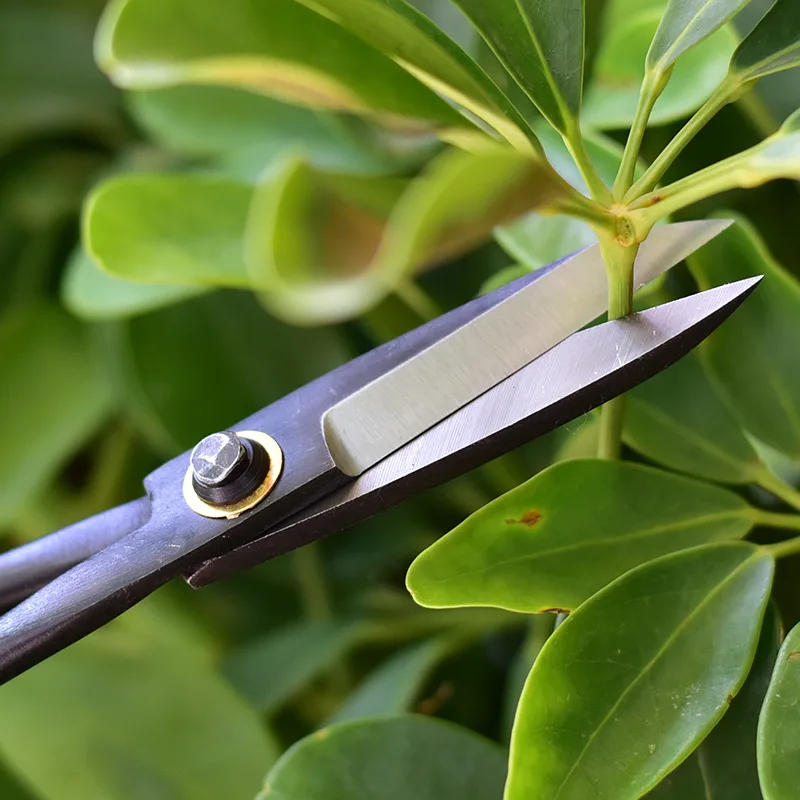 1pcs Professional Bonsai Knob  - đánh giá và giá Smart Garden Edging