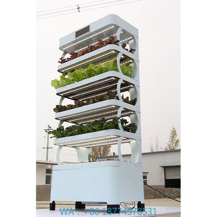 arming Home Hydroponic Growing - đánh giá và giá Smart Garden Home