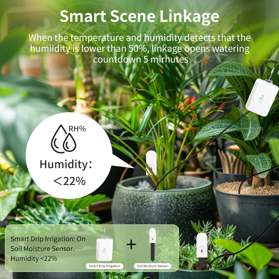 Smart Zigbee 3.0 Soil Tester H - đánh giá và giá Smart Garden Zigbee