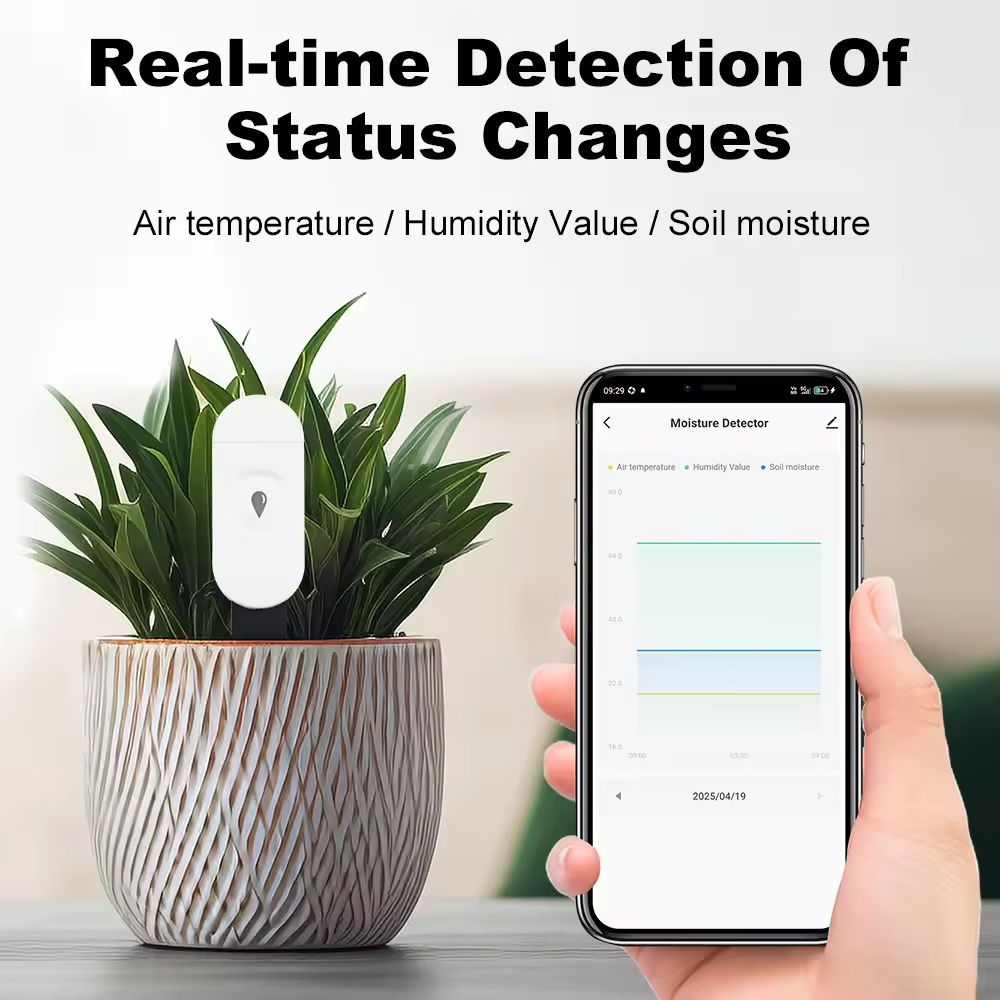 Tuya Zigbee Temperature Humidi - đánh giá và giá Smart Garden Zigbee
