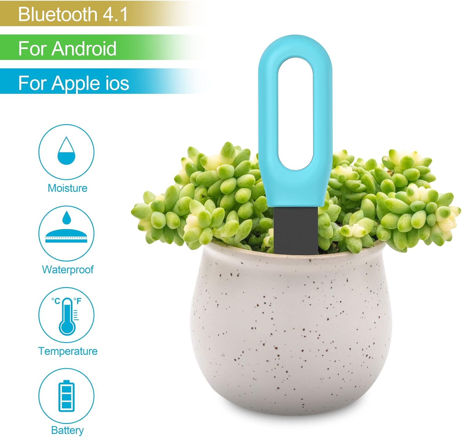 Tuya Bluetooth Zigbee Smart So - đánh giá và giá Smart Garden Zigbee