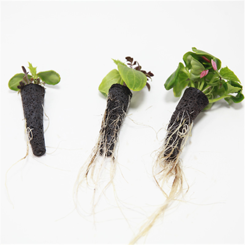 50/100pcs Plant Grow Basket Fo - đánh giá và giá Aerogarden Seed Pod