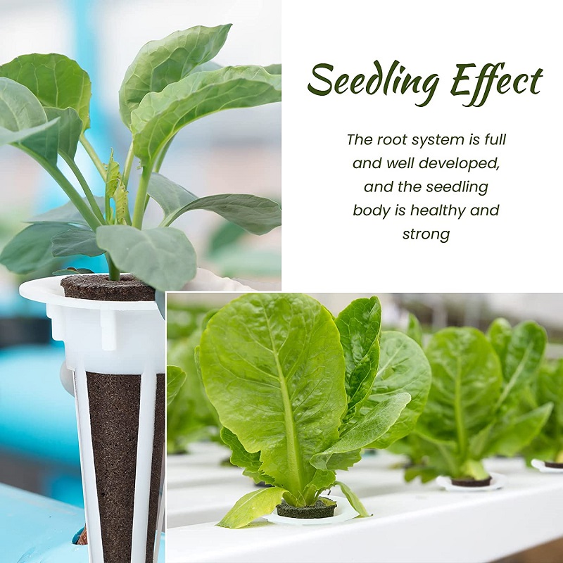 50/100pcs Plant Grow Basket Fo - đánh giá và giá Aerogarden Seed Pod