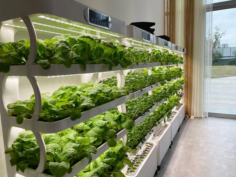 Indoor Small Home Garden Plant - đánh giá và giá Smart Garden Vertical Planter