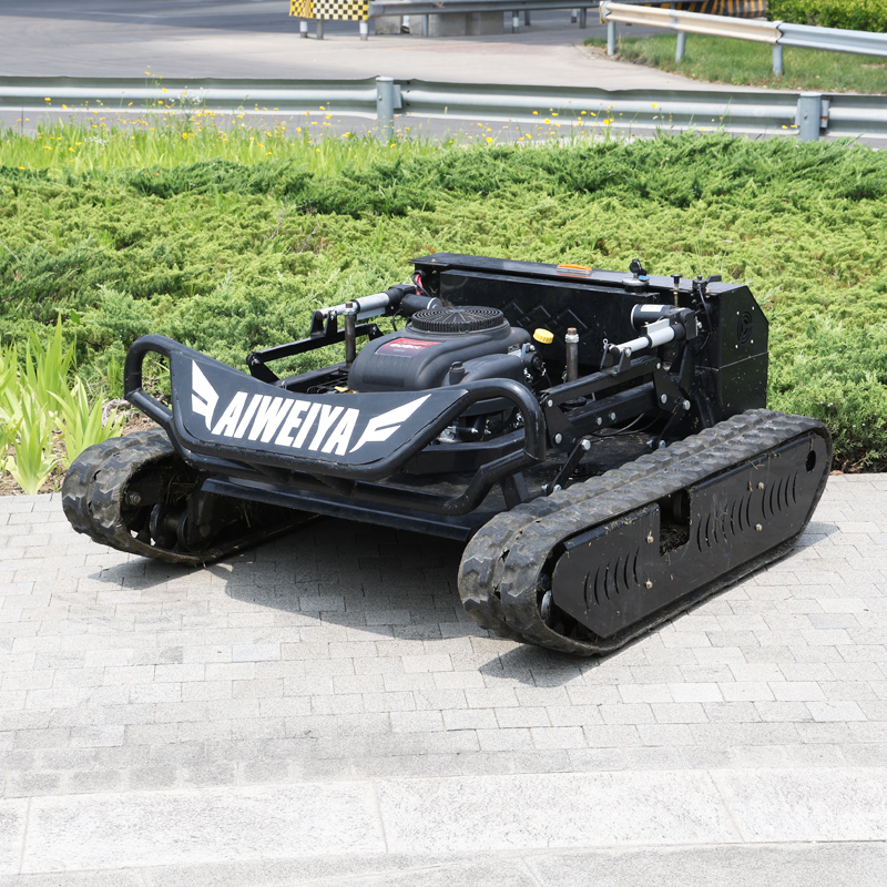 Customized Petrol Remote Contr - đánh giá và giá Smart Garden Click And Grow