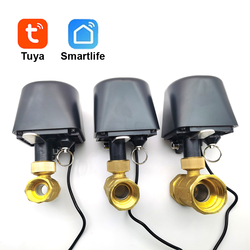 Tuya WiFi or Zigbee Water Valv - đánh giá và giá Smart Garden Zigbee